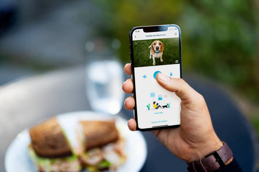 You Can Let Your Dog Out With Your Phone Thanks To This Smart